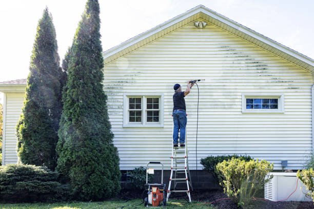 Best Roof Pressure Washing  in Old Miakka, FL